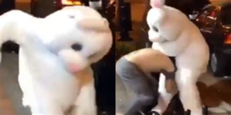 Florida Person In Easter Bunny Costume Captured Brawling On Video Fox