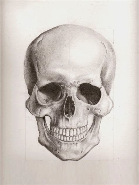 Human Skull Front View By Enonemis1 On Deviantart