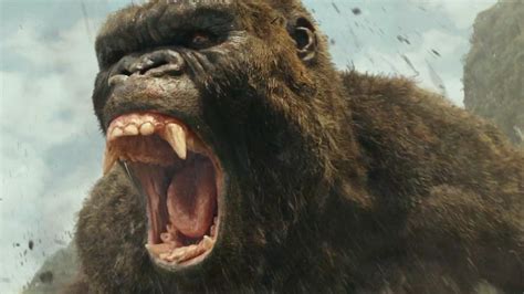 The Godzilla vs. Kong MonsterVerse: Every Major Monster (Including ...