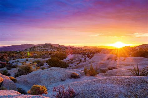 Sunrise At Joshua Tree National Park Stock Photo Download Image Now