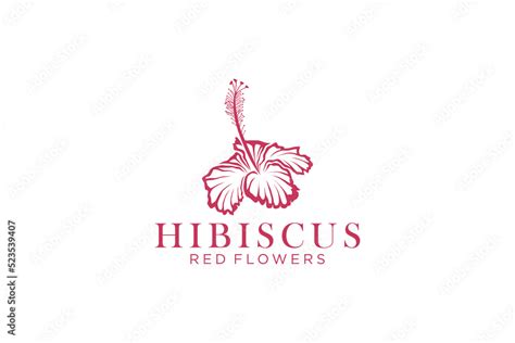 Hibiscus Flower Logo Design Icon Vector Fresh Nature Blooming