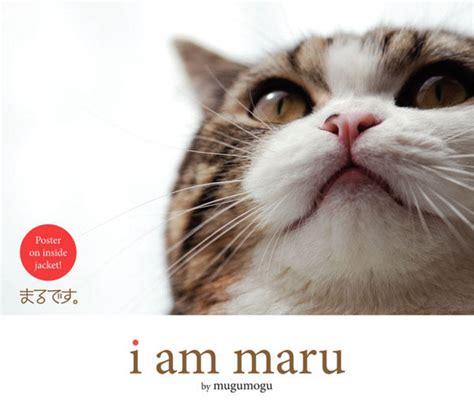 Maru The Cat Know Your Meme