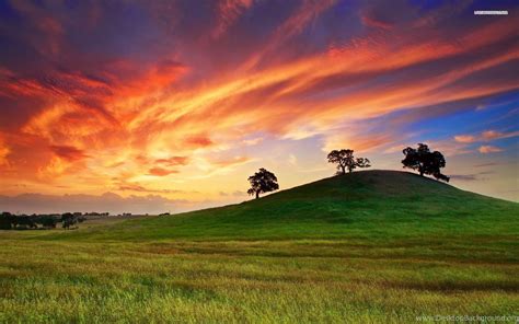 Sunset Behind The Green Hill Tree Sky Cloud Grass Nature