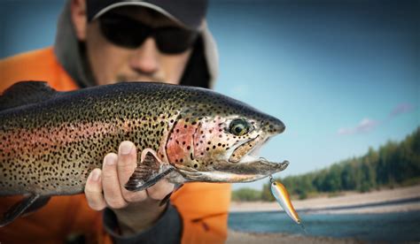 Choosing the best line for trout can be a difficult task if you do not have proper ideas on these items. Expert Guide For The Best Fishing Line For Trout - BearCaster