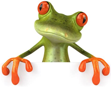 Collection Of Png Frogs Free Pluspng