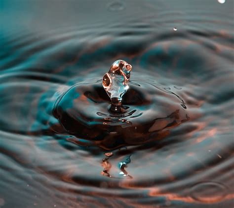 Water Drop Droplet Hd Wallpaper Peakpx