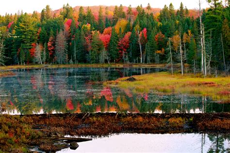 Algonquin Provincial Park Ontario Canada October 2012 Algonquin Park