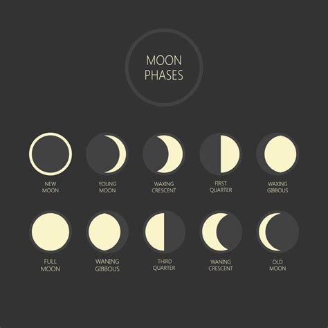 Saznajte Kako Lunarni Kalendar Utiče Na Vaš Izgled Storyrs
