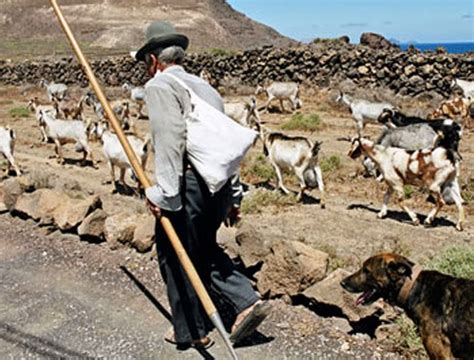 Decires Tradicionales Canarios Cada Cabrero Guarda Sus Cabras