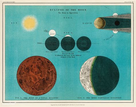 An Astronomy Lithograph The Eclipse Of The Moon Printed In 1908 An