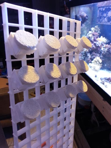 Check spelling or type a new query. Vertical eggcrate frag rack | REEF2REEF Saltwater and Reef Aquarium Forum