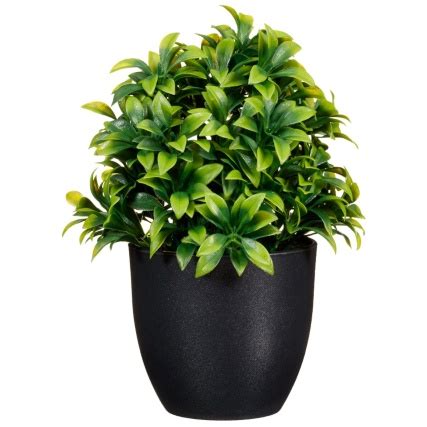 Plant and pot studio is a place where extraordinary ideas take root, a place that looks to the infin. Potted Plant 20cm | Home | Artificial Plants