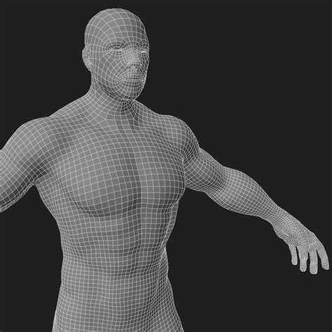 Human Male Full Body Anatomy 3d Model Cgtrader