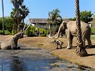Travel Guide to the La Brea Tar Pits in Los Angeles - Periodic Adventures