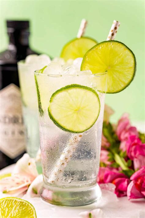 Classic Gin And Tonic Recipe Tips To Make The Best Rachel Cooks