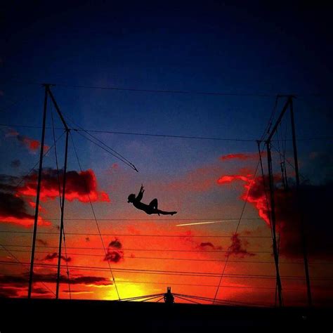 Lone Star Trapeze Academy Home
