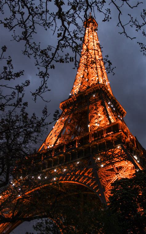 Gambar Pohon Cahaya Arsitektur Langit Malam Kota Menara Eiffel