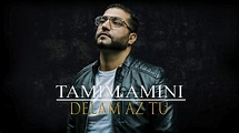 Tamim Amini - Delam Az Tu - Afghan Song 2018 - YouTube