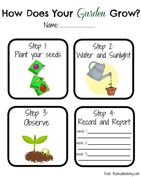 Planting A Kcup Garden Plant Life Cycle Worksheet Kindergarten