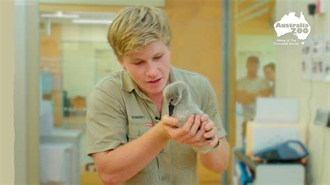 Top 77 About Australia Zoo Wildlife Hospital Best Daotaonec