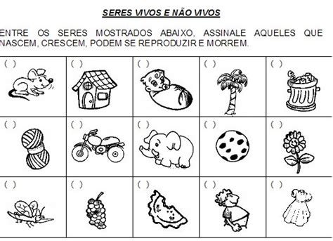 Seres Vivos E NÃo Vivos Atividades ExercÍcios Desenhos Colorir Imprimir