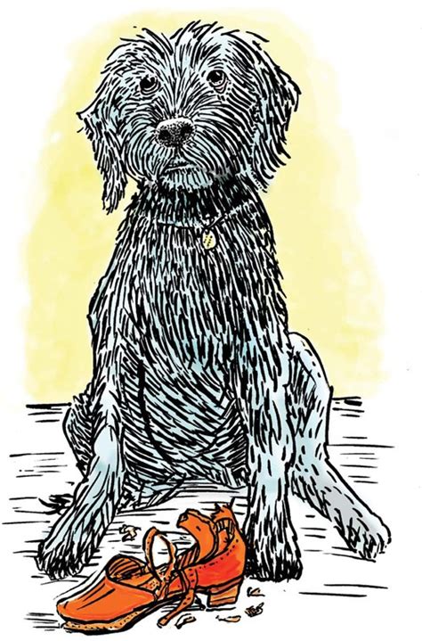 Drawing A Shaggy Dog Named Pavlov Illustration Concentration