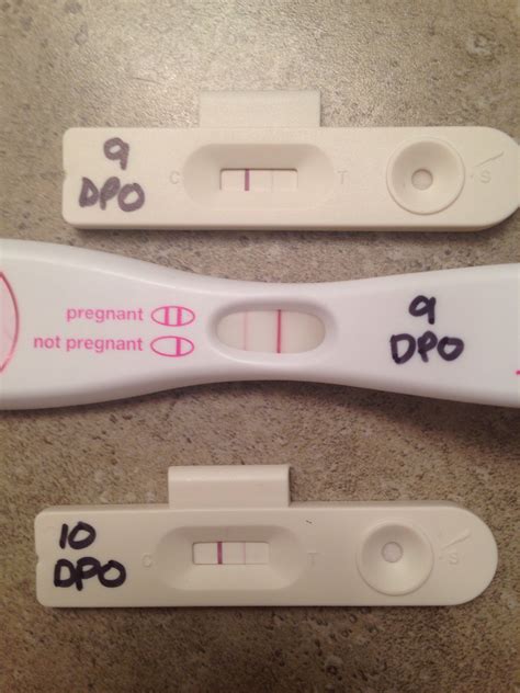 What Does A Positive Pregnancy Test Really Look Like Page 15 — The Bump