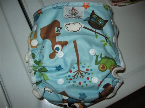 Cloth Diaper Addiction Cheeky Diapers Fitted Review And Giveaway