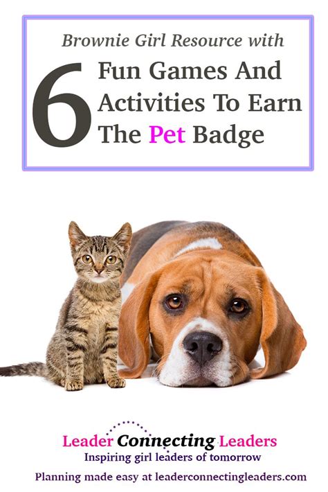Sample meeting plans with notes. 6 Fun Games And Activities To Earn The Brownie Pet Badge ...