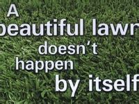 So how does the post office do it? 7 Do It Yourself Lawn Care ideas | lawn care, lawn, lawn ...