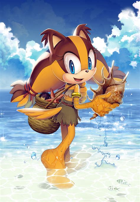 Sticks On The Beach Sonic The Hedgehog Know Your Meme