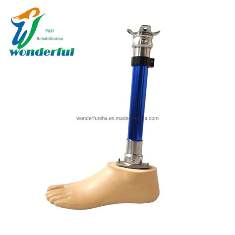 Artificial Limb Prosthetic Leg Artificial Sach Foot Below Knee