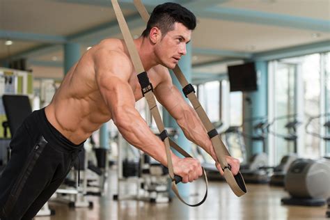 7 Trx Exercises For Loaded Biceps Gaining Tactics