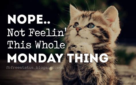 Happy And Funny Monday Quotes To Make You Smile