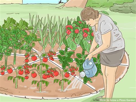 3 Ways To Grow A Pizza Garden Wikihow