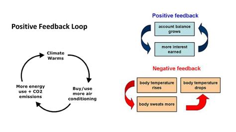 Feedback Loops Friday April 20th Ppt Download