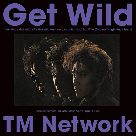 Get Wild Limited Tm Networ Vinyl Uk Music
