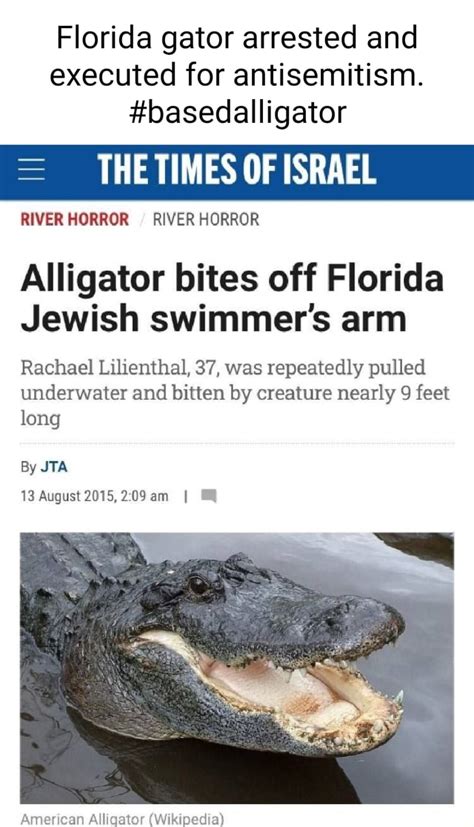 Florida Gator Arrested And Executed For Antisemitism Basedalligator The Times Of Israel