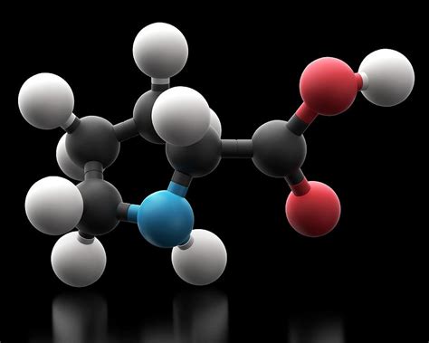 Proline Amino Acid Molecule Photograph by Carlos Clarivan/science Photo ...