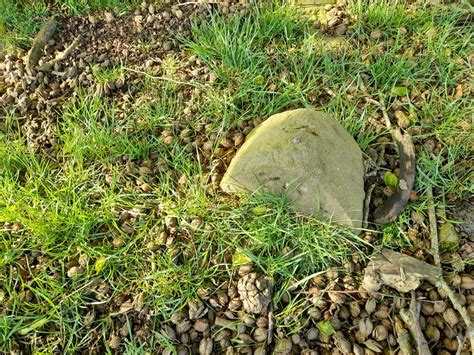 Boundary Stone © Adrian Dust Geograph Britain And Ireland