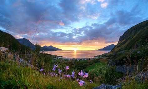 Sunset And Flowers John A Hemmingsen Flickr