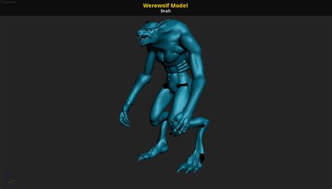 Werewolf Model Source Engine Works In Progress