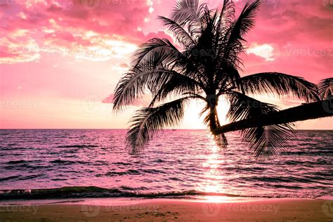 Beautiful Sunset Tropical Beach With Palm Tree And Pink Sky For Travel