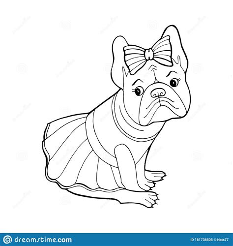 Beautiful Dog In A Dress And With A Bow Coloring Book