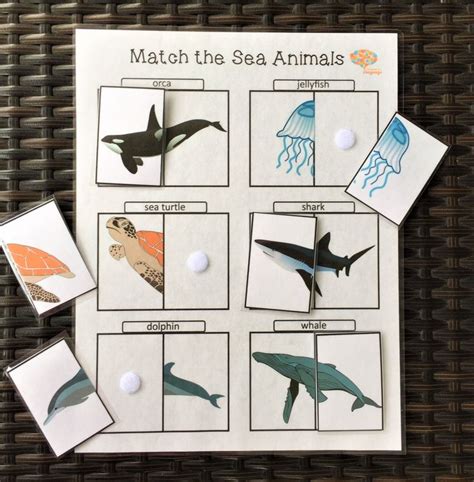 The Match The Sea Animals Game Is Shown