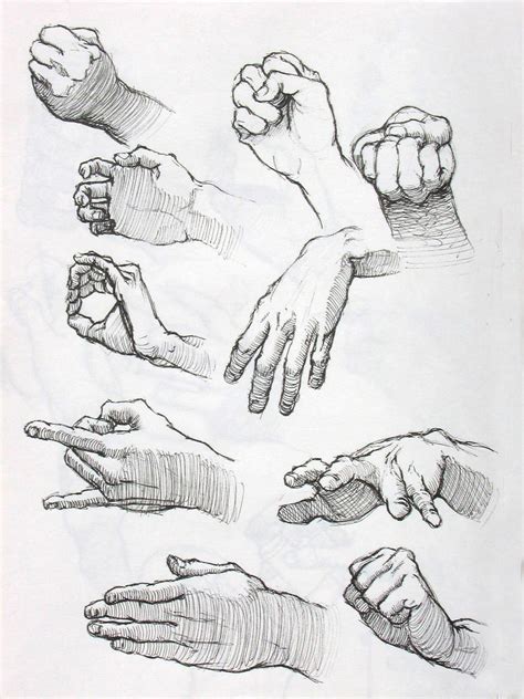 Hand Studies In Ink 2 By Lovablemikey On Deviantart