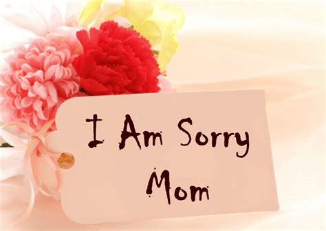 150 Im Sorry Mom Lovely Sorry Messages For Mother Dreams Quote