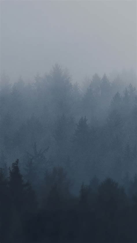 Foggy Forest Fog Dark Hd Phone Wallpaper Peakpx