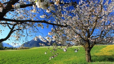 Spring Landscape 4k Wallpapers Top Free Spring Landscape 4k
