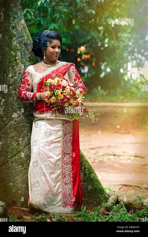 Kandy Sri Lanka July 24 2016 An Indian Bride In A Park Near A Tree
